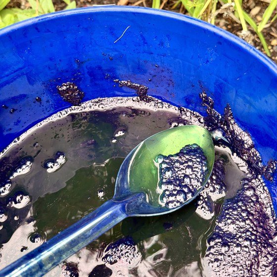 A long spoon lifting green liquid from the indigo vat in a blue bucket